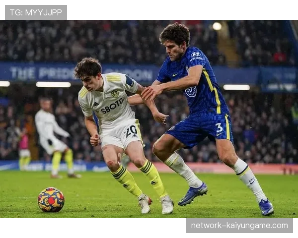 南非队防守端发力，阻击强敌成功，南非胜负